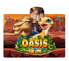 Oasis